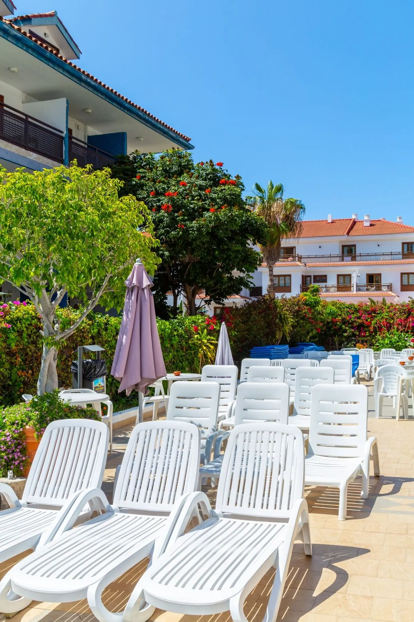 Apartamentos Pez Azul: A poolside area with white lounge chairs and a purple umbrella