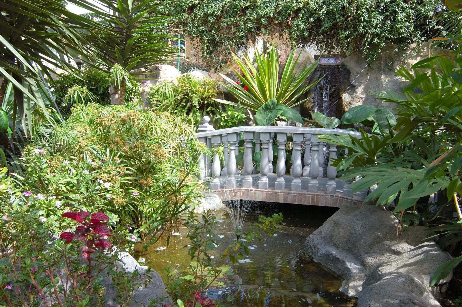 Hotel Don Manolito: A garden with a stone bridge over a pond, surrounded by various plants and rocks