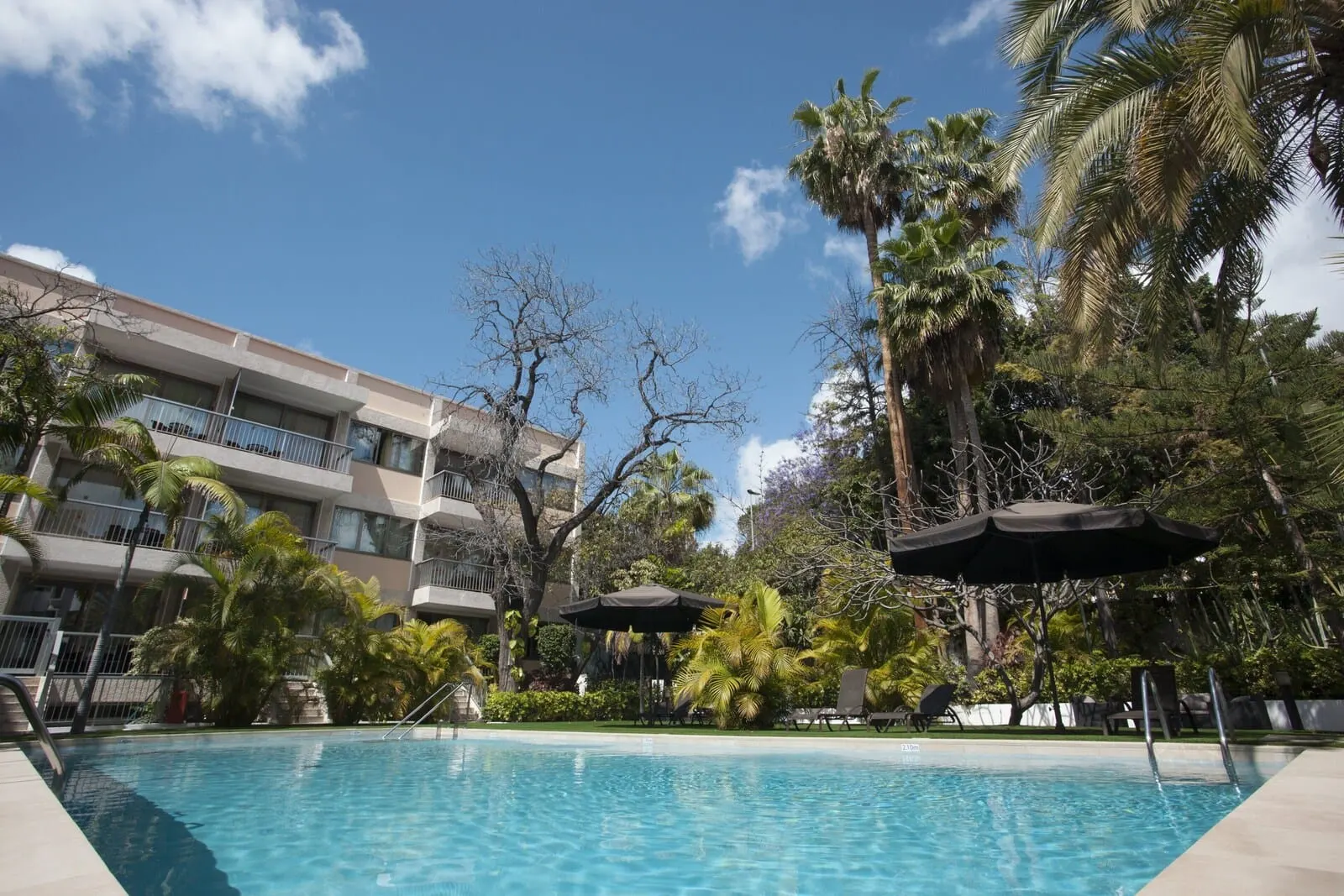 Hotel Colón Rambla: A swimming pool surrounded by palm trees and a multi-story building with balconies
