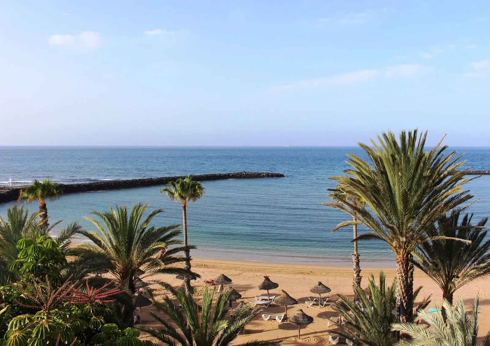 Sir Anthony: A beach with palm trees, beach umbrellas, and lounge chairs