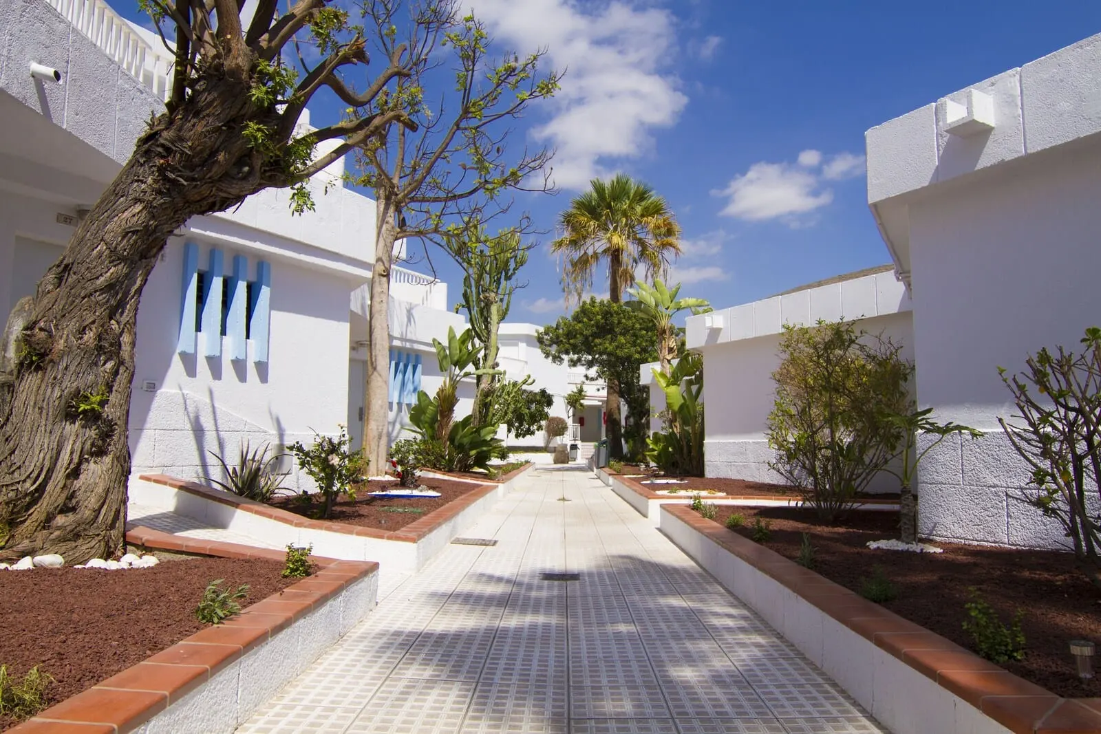 Checkin Bungalows Atlántida: A pathway leading to a building with white walls and blue accents