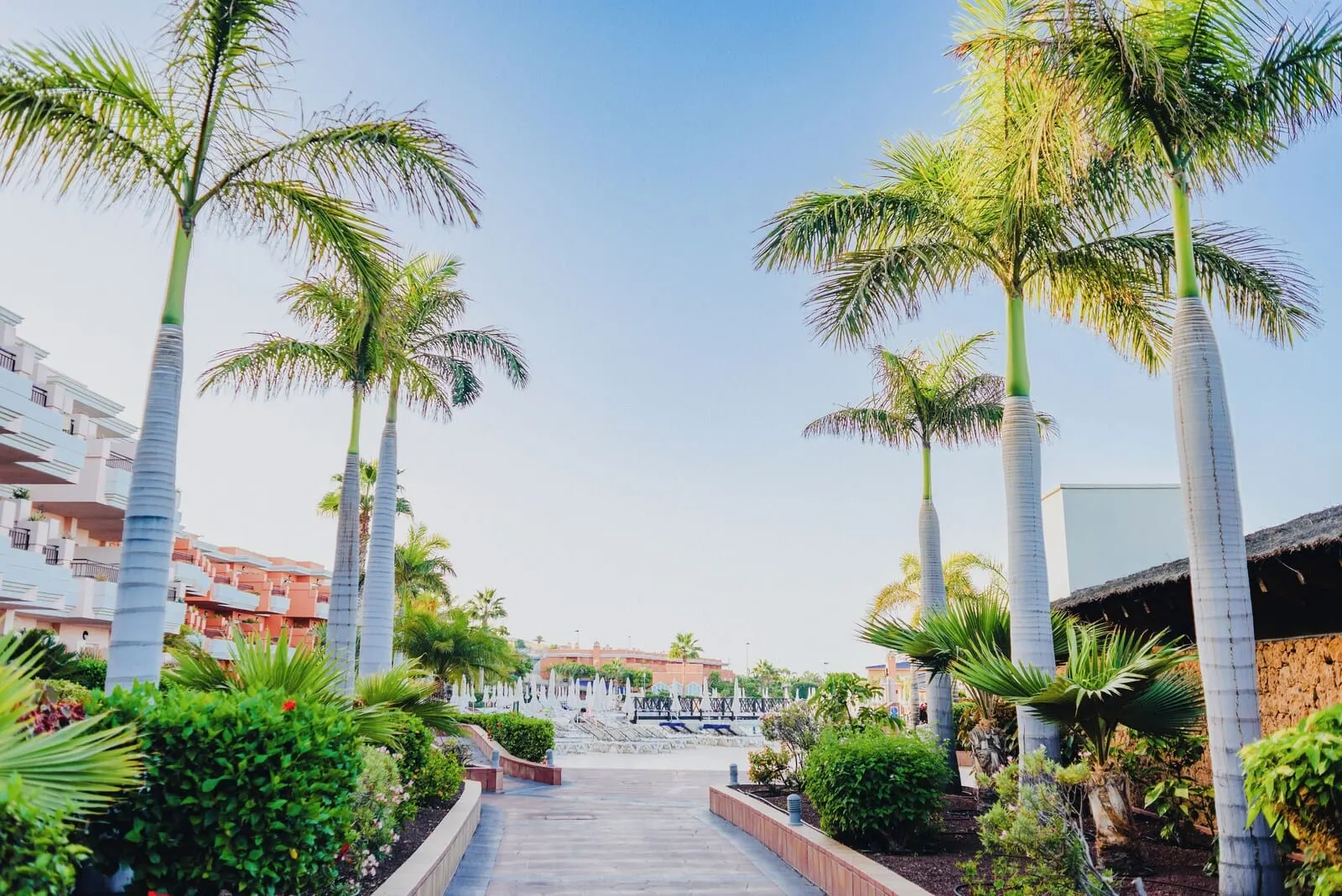 Landmar Costa Los Gigantes: A pathway lined with palm trees leading to a building with balconies