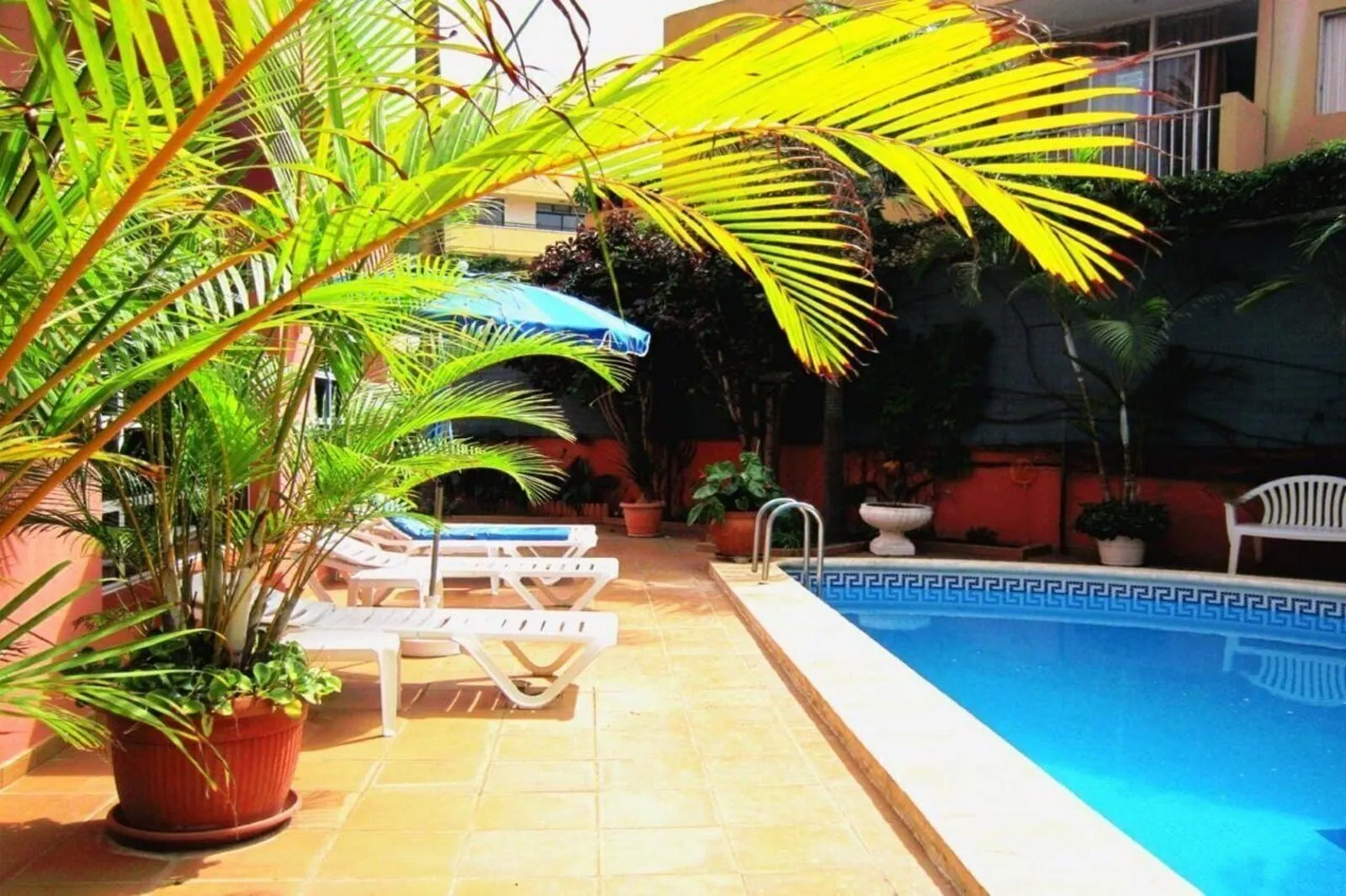 Hotel Don Cándido: A pool area with lounge chairs, a blue umbrella, and potted plants