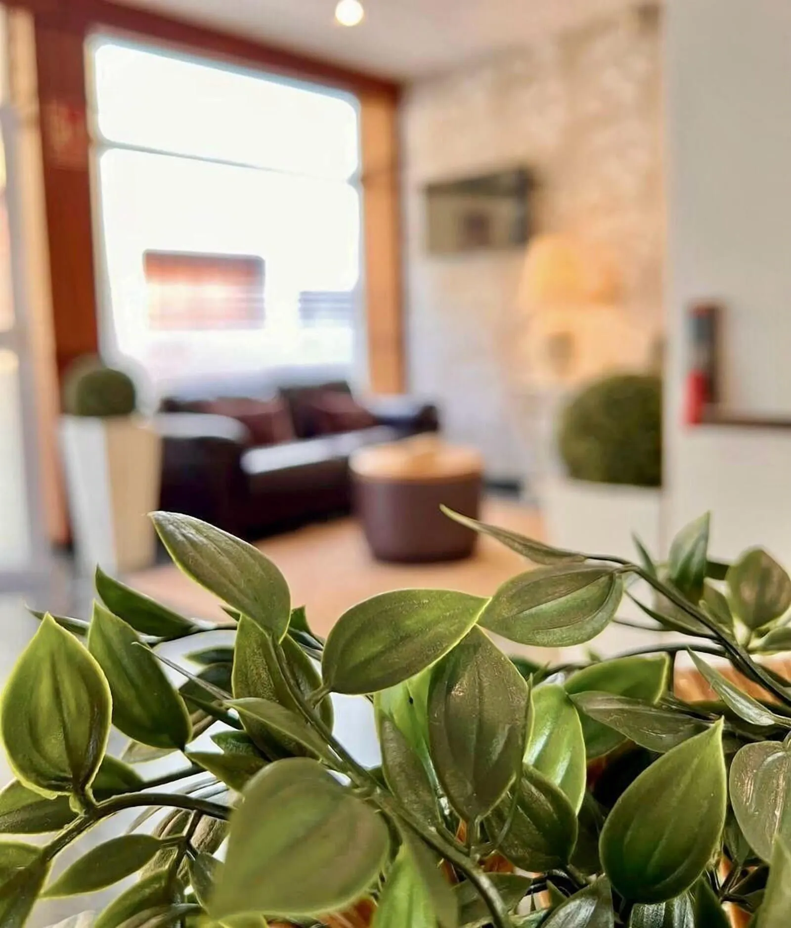 Hotel Sun Holidays: A modern living room with a sofa, a coffee table, and a large window
