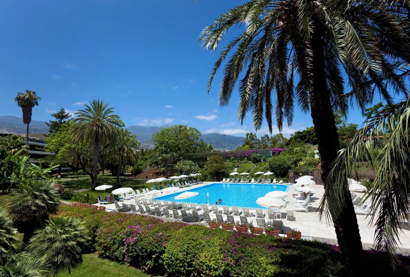 Hotel TRH Taoro Garden: Outdoor pool