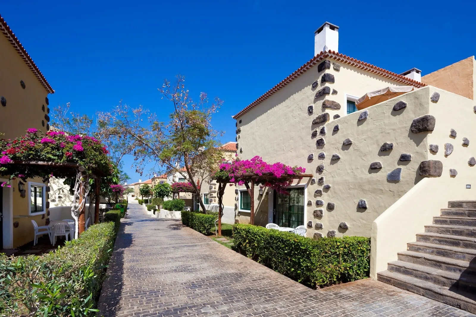 GF Isabel: A narrow cobblestone street flanked by buildings with stone facades and pink flowering
