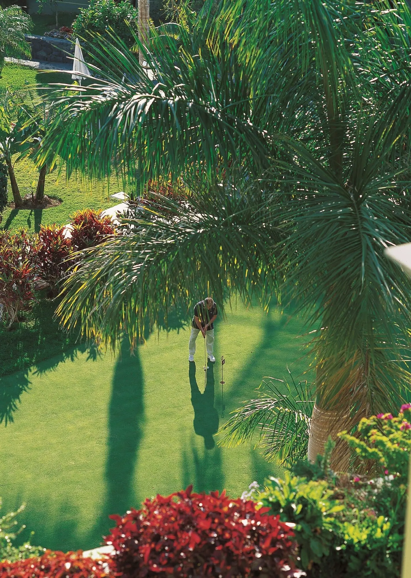 Hotel Jardines de Nivaria: A golf course with a well-maintained lawn, palm trees, and various shrubs