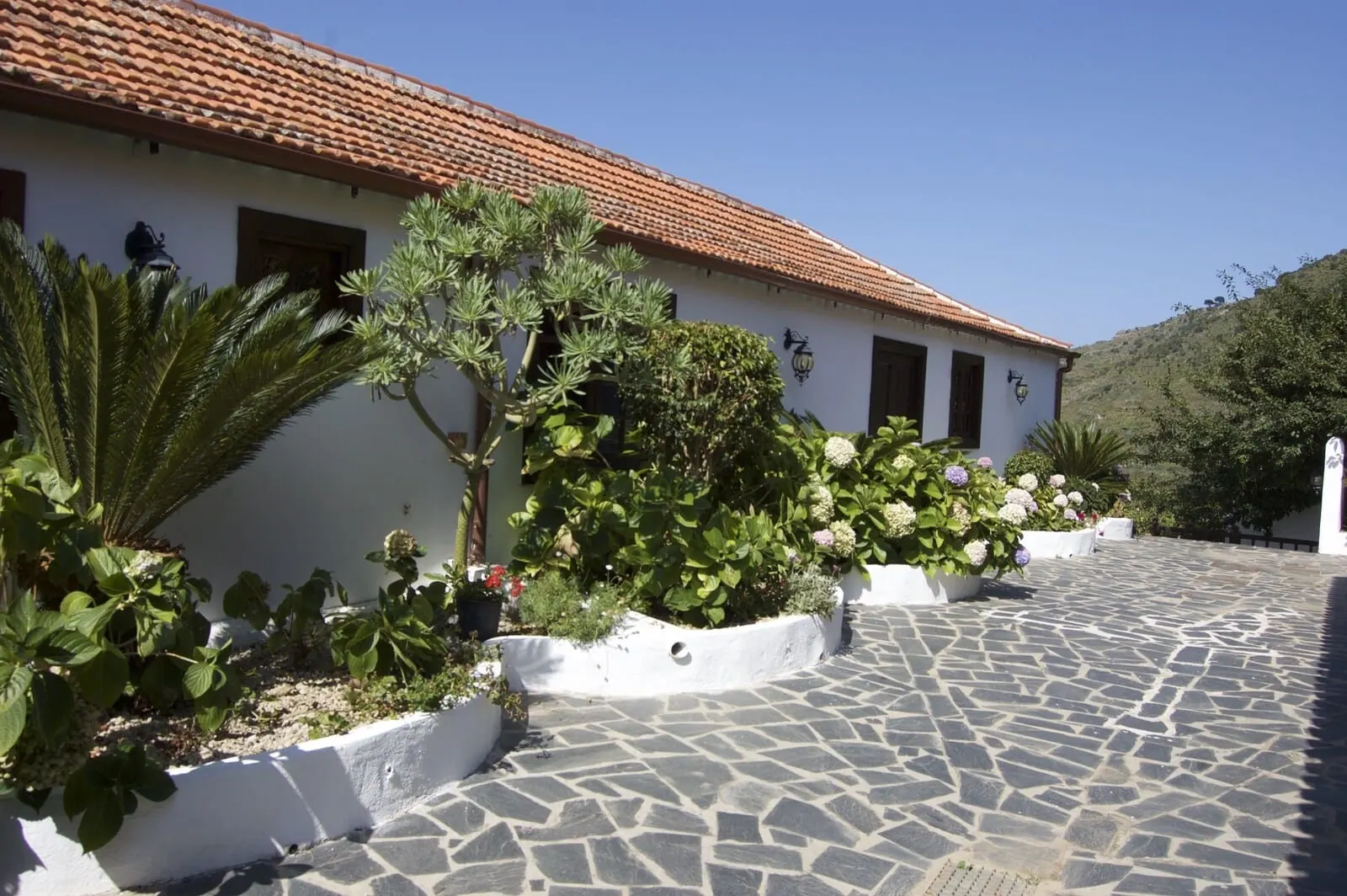 Hotel Rural Finca La Hacienda: Terrace/patio