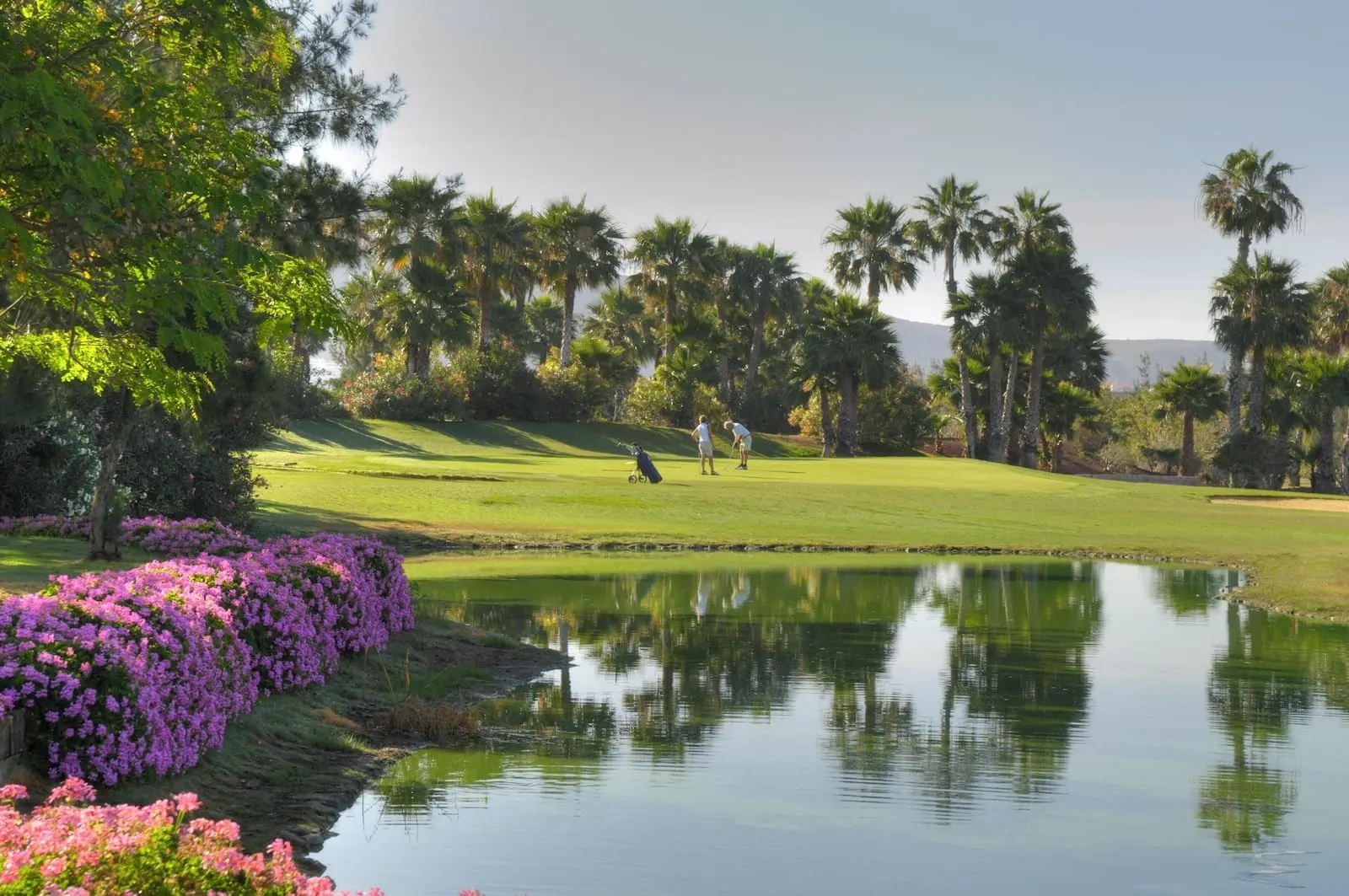 1881 Tenerife Madrigueras Golf Hotel: A golf course with a pond, palm trees, and purple flowers