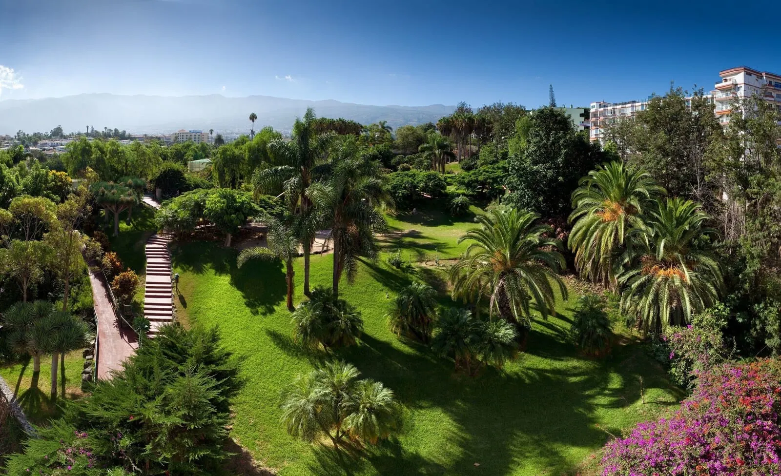 Parque Vacacional Eden: A lush garden with palm trees, a pathway, and a view of distant mountains