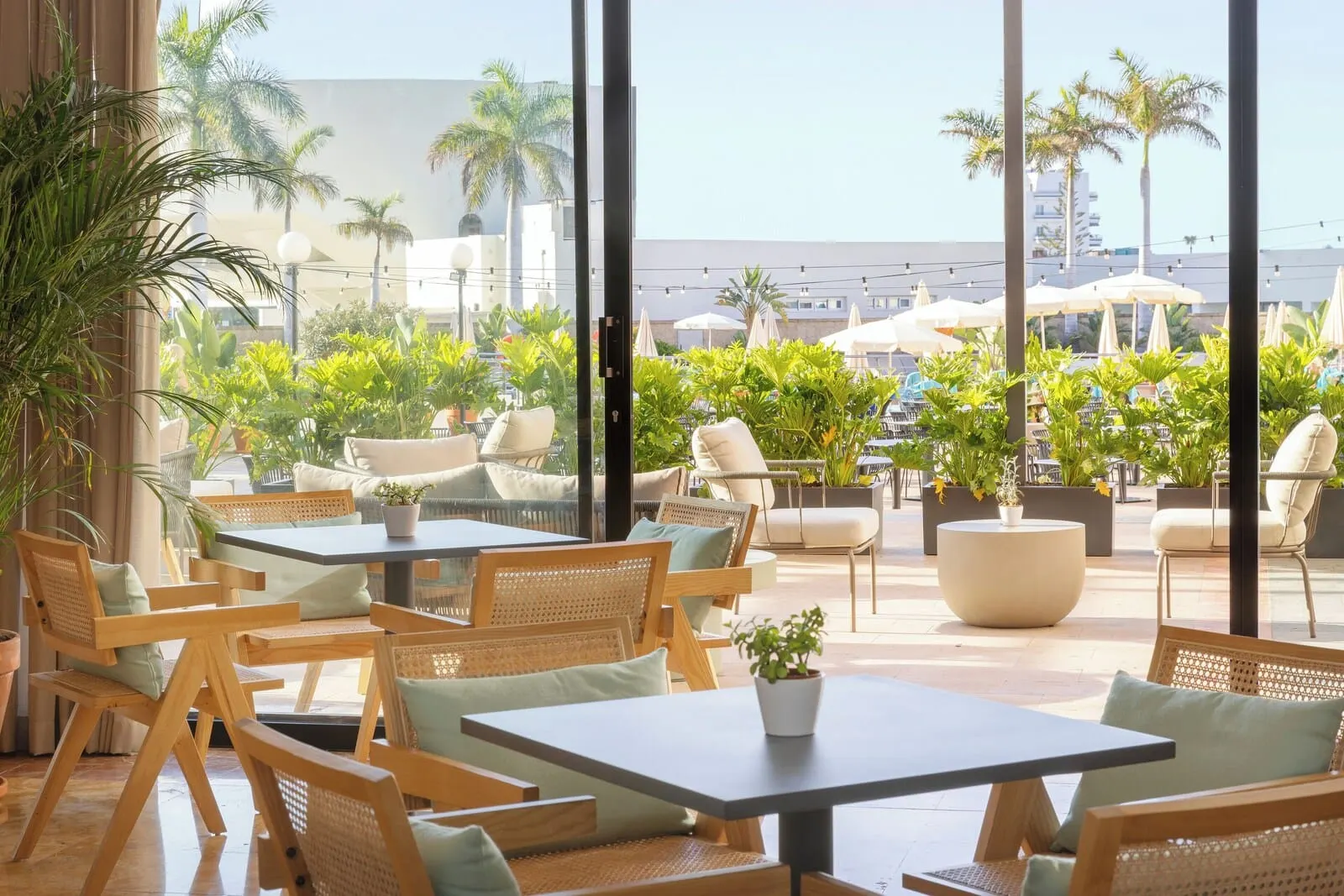 AluaSoul Costa Adeje: An outdoor seating area with wicker furniture, potted plants, and umbrellas