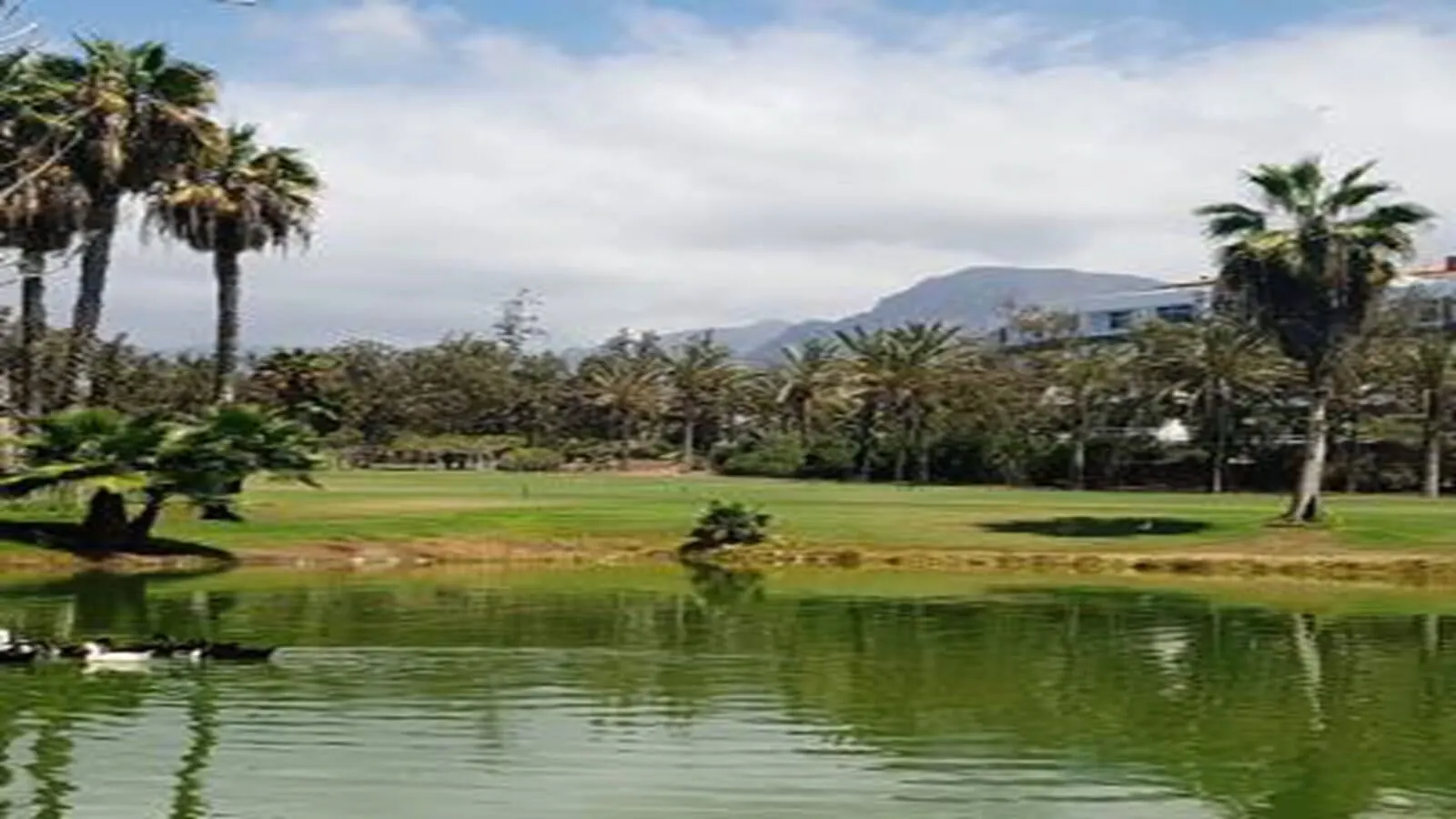 Gara Suites Golf & Spa: A golf course with palm trees, a pond, and a mountain in the background