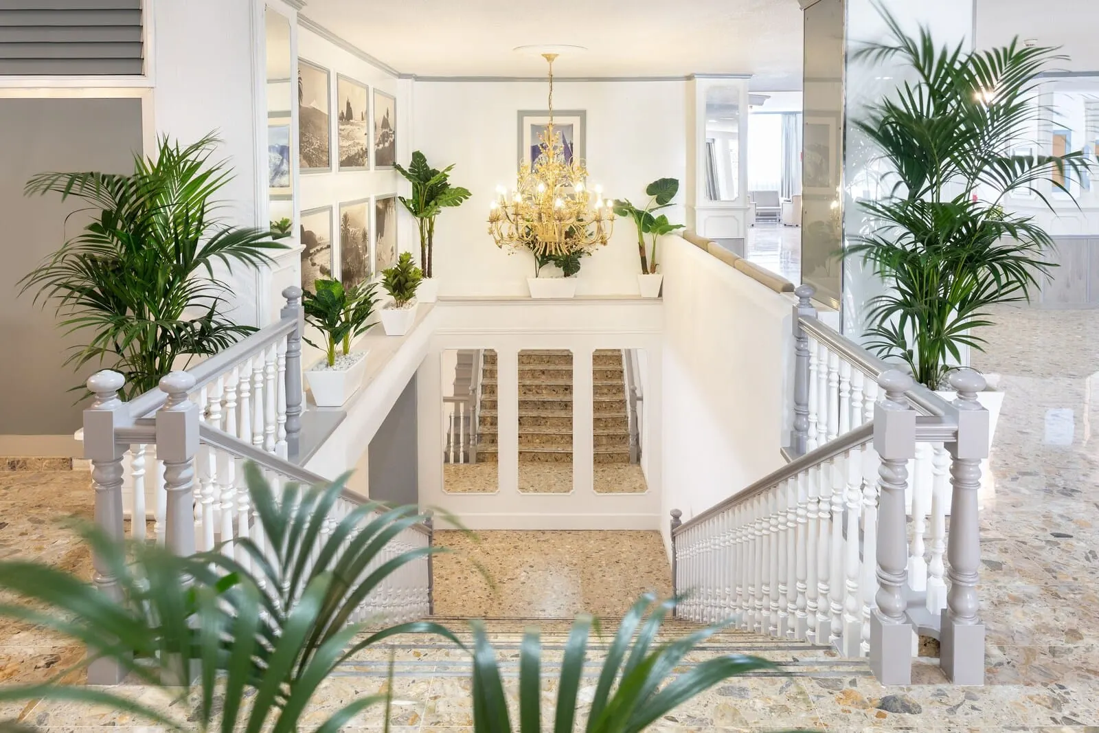 Hotel Panorámica Garden: A grand staircase with white balustrades, a chandelier, and potted plants