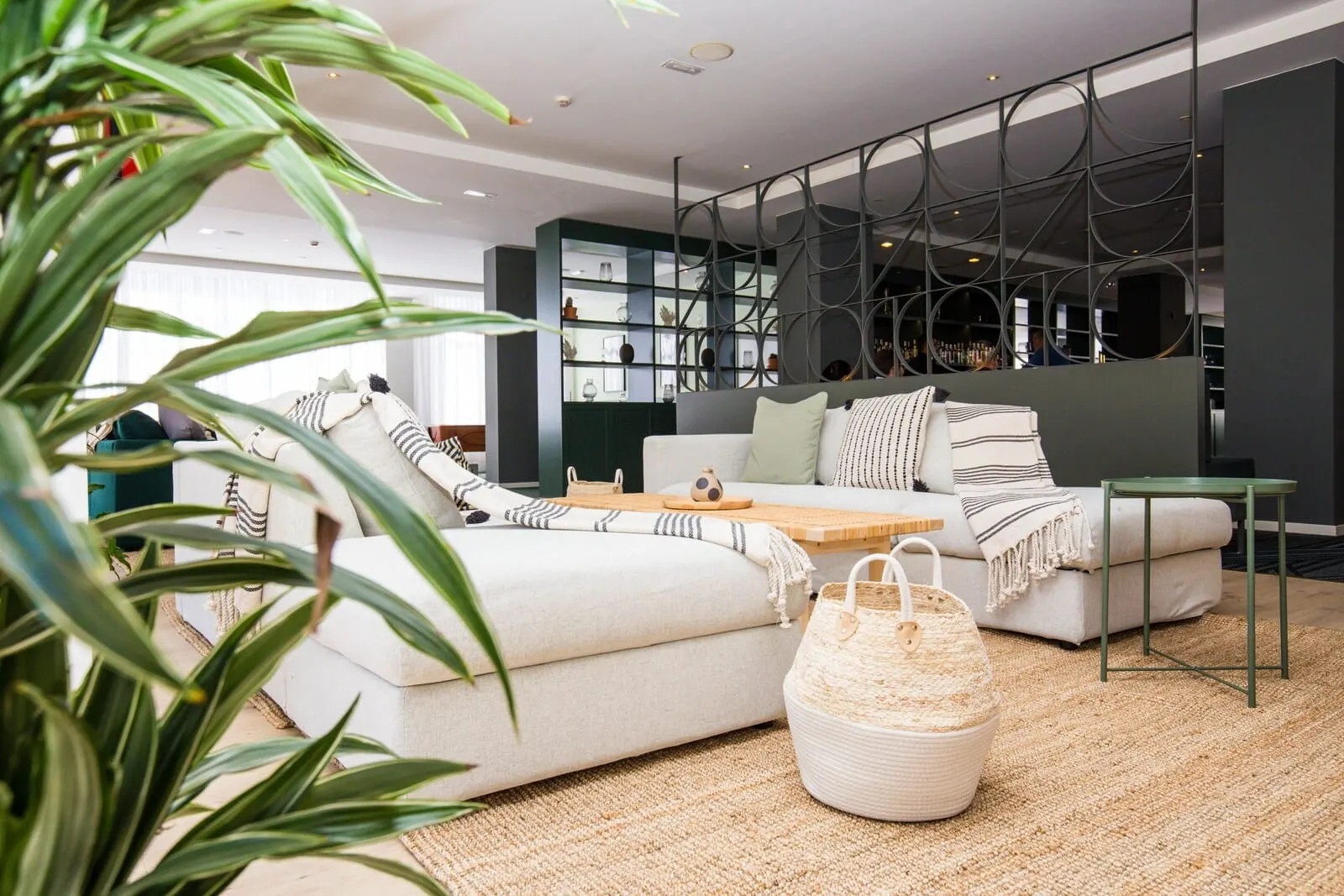 Coral Suites & Spa: A modern living room with a sofa, a coffee table, and a decorative basket
