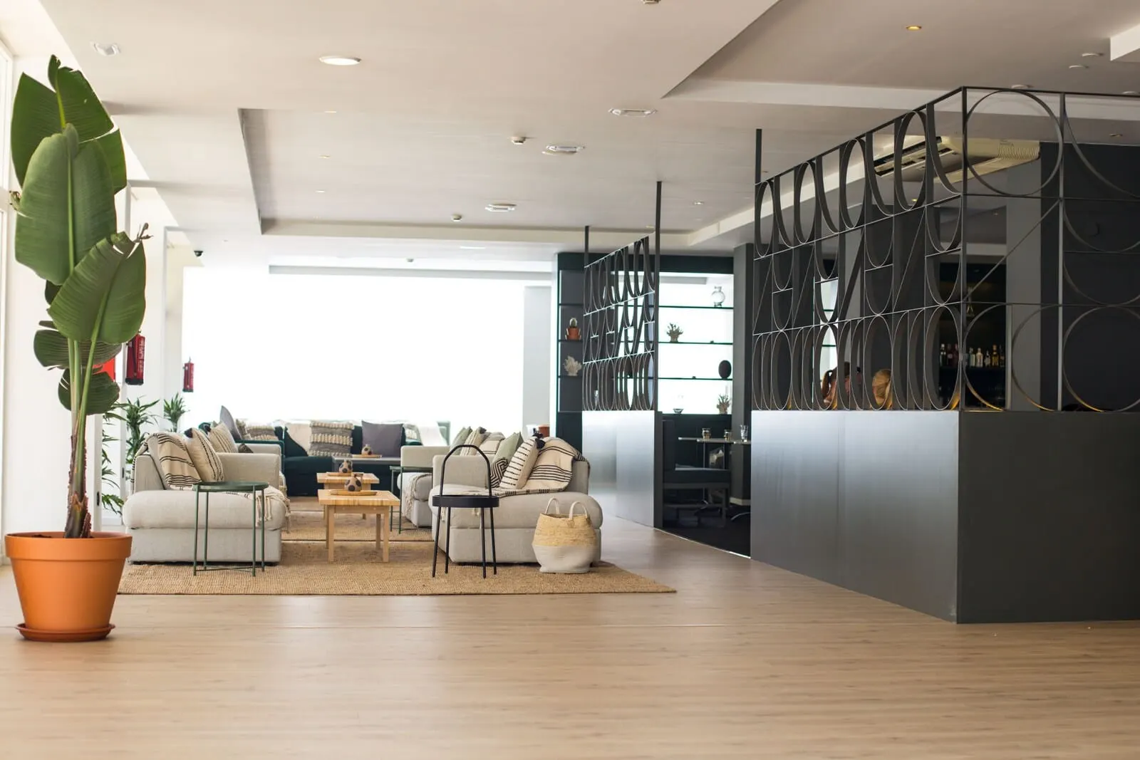 Coral Suites & Spa: A modern living room with a sofa set, a coffee table, and a potted plant