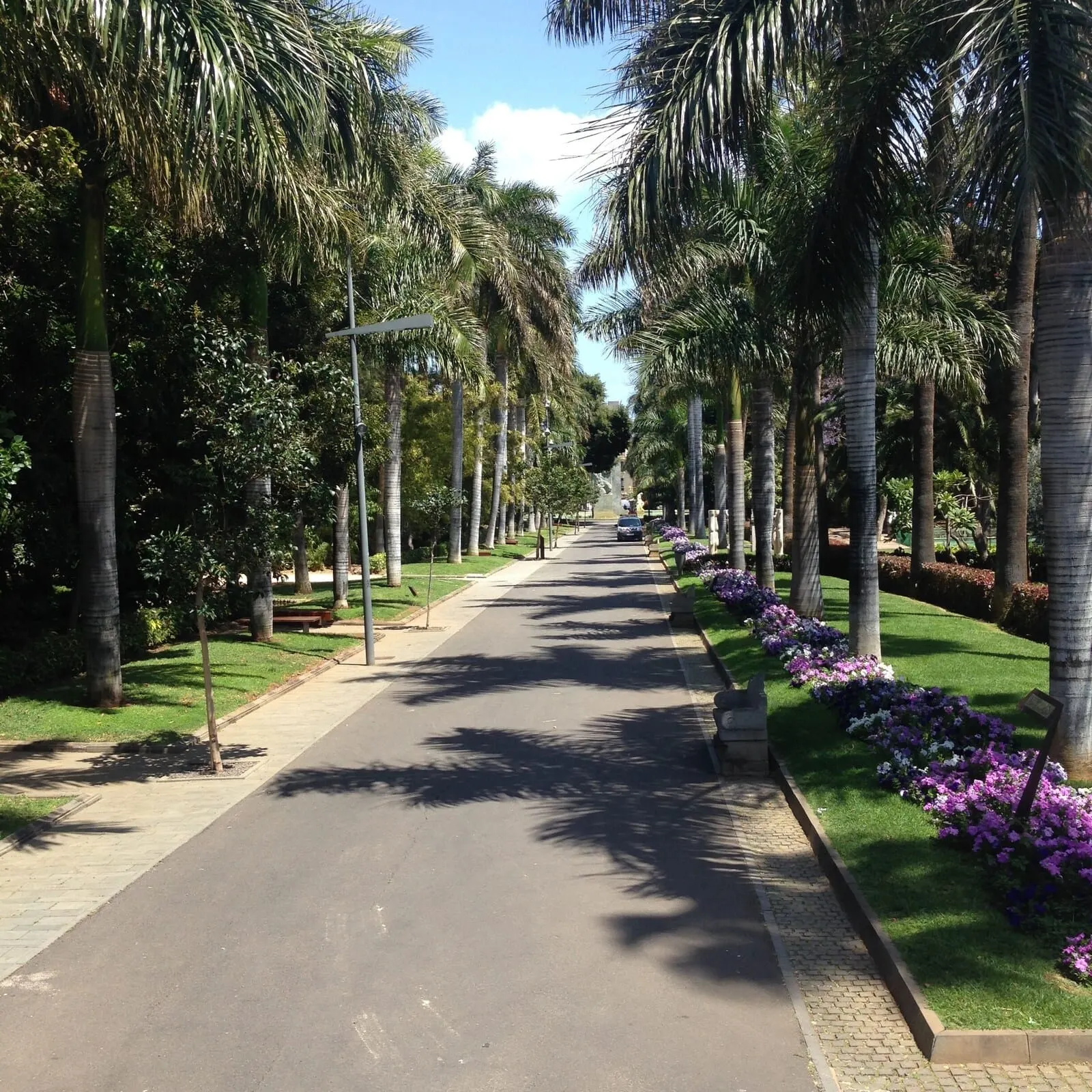 Hotel Colón Rambla: A tree-lined street with a paved walkway, benches, and flower beds