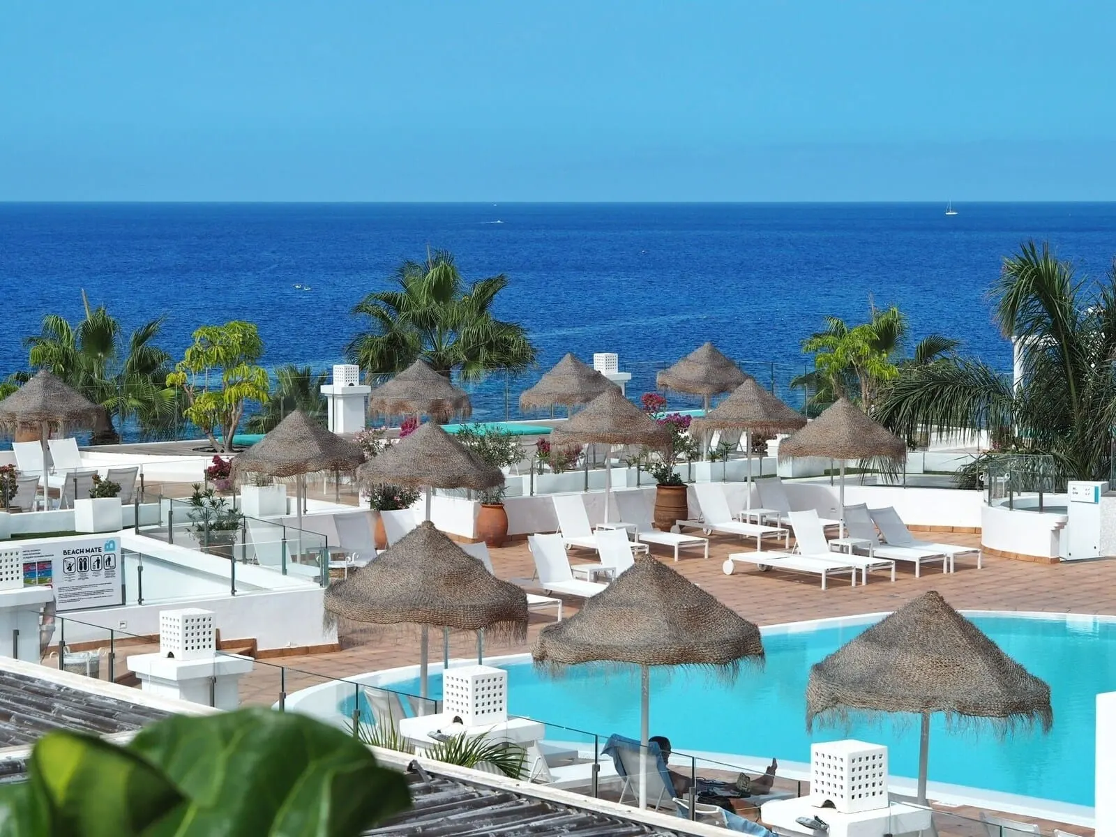 Flamingo Beach Mate: A resort pool area with lounge chairs, thatched umbrellas, and a view of the ocean