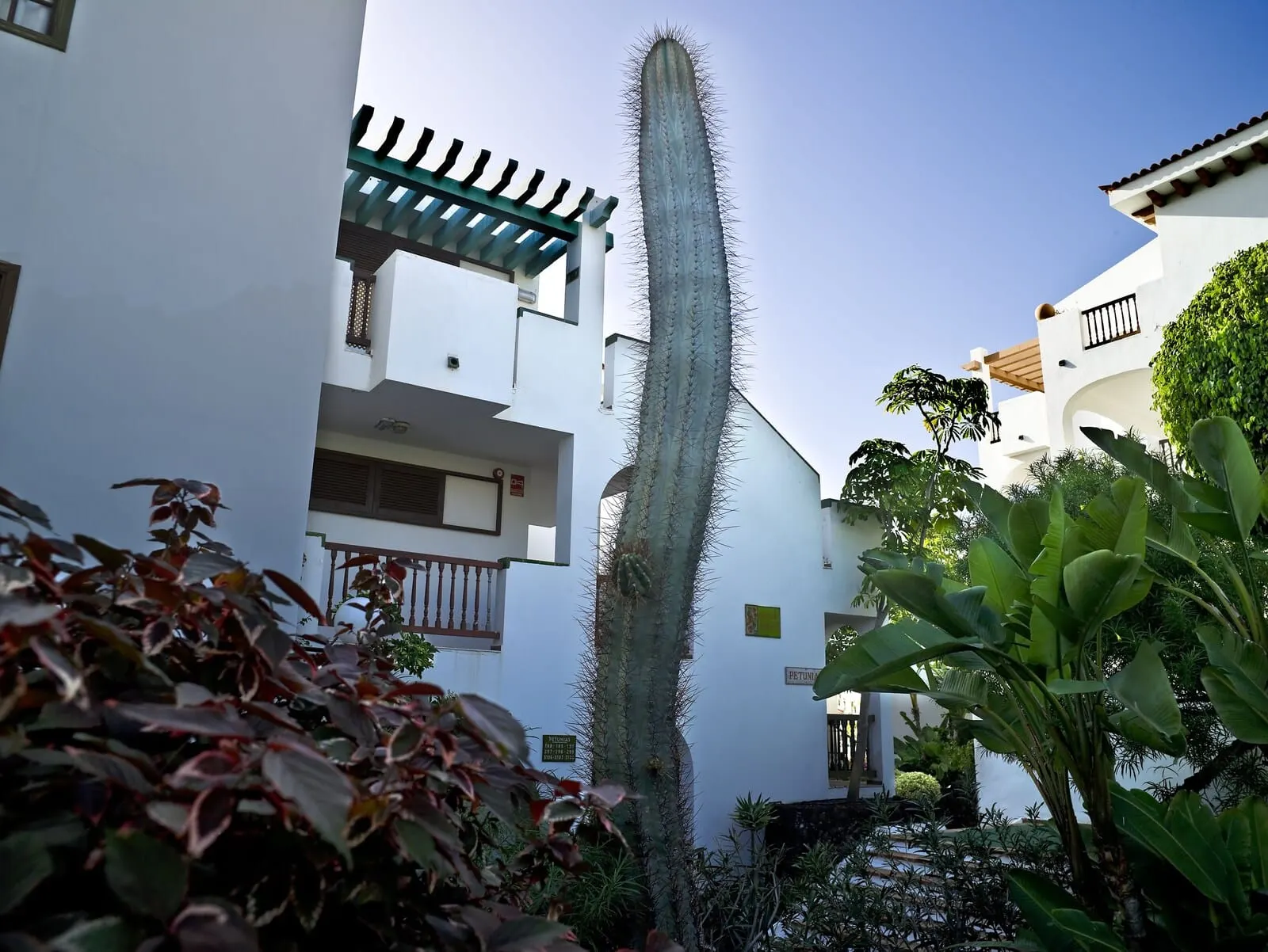 BLUESEA Callao Garden: A building with a white exterior, a balcony, and a tall cactus in the center