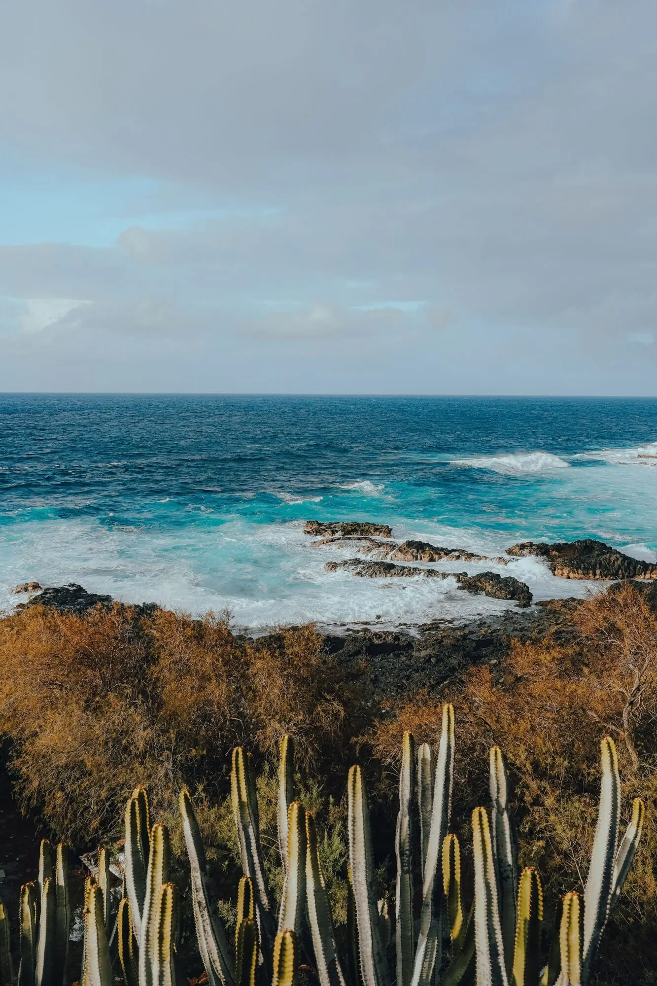 Costa Mágica Boutique Hotel: A coastal landscape with a rocky shoreline and cacti in the foreground