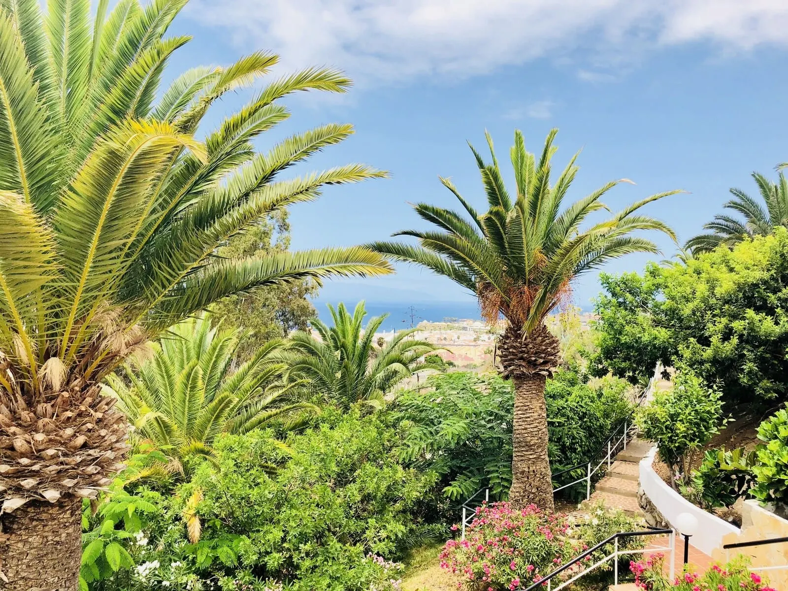 Regency Torviscas Apartments & Suites: A lush garden with palm trees and a variety of greenery, a stone staircase