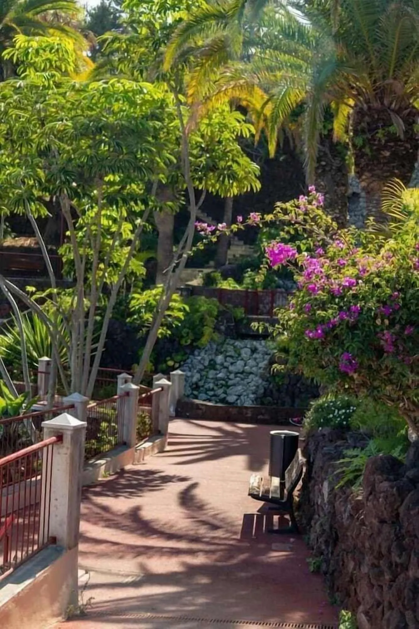 Hotel Don Cándido: A pathway leading through a lush garden with tropical plants and a stone wall