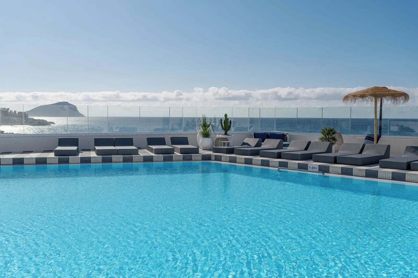 The Salmar: A rooftop infinity pool with lounge chairs and a cactus plant