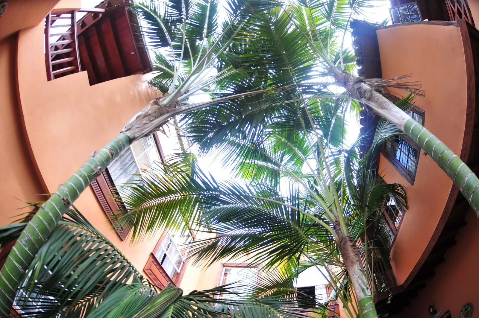 Hotel Emblemático San Marcos: A view of a building with a curved facade and a palm tree in the foreground
