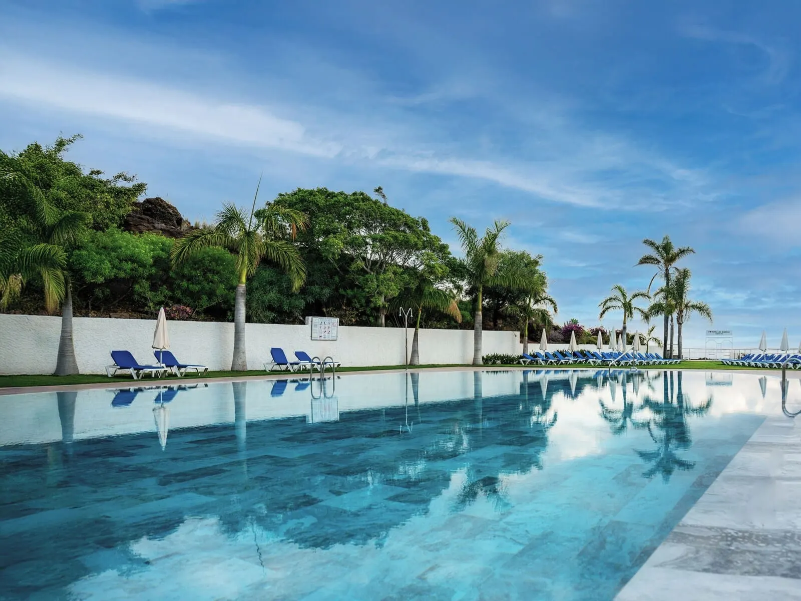 Hotel Las Águilas Tenerife, Affiliated by Meliá: A swimming pool with clear blue water, surrounded by palm trees and lounge chairs