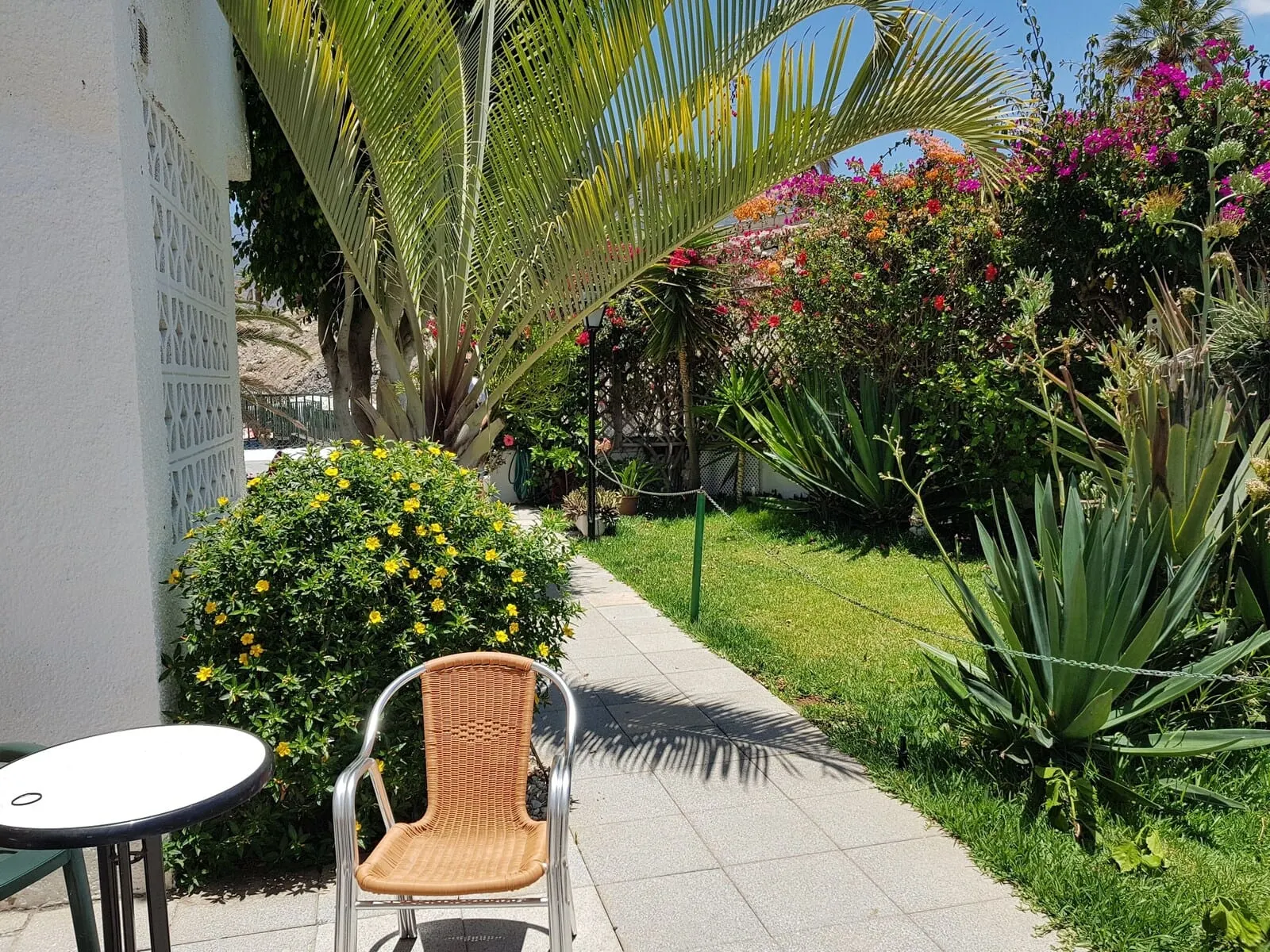 Tinerfe Garden: A garden pathway with a wicker chair and a small table